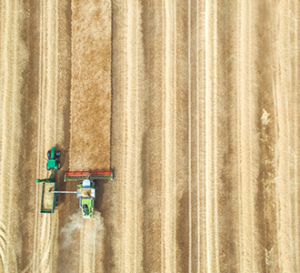 harvesting