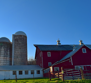 Farm House