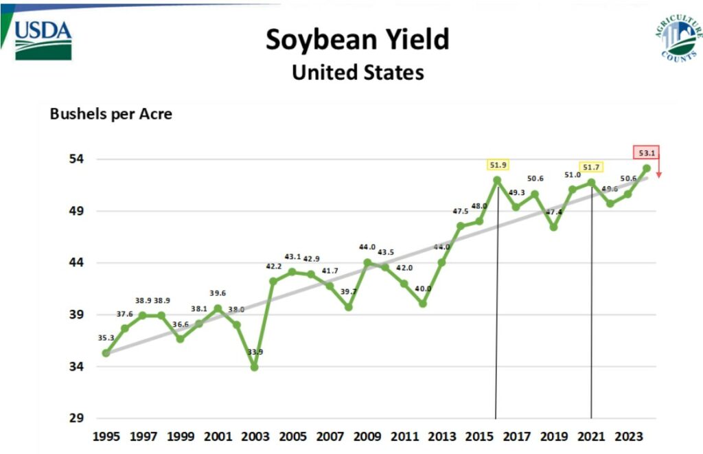 US Soybean Yield chart 11.8.24