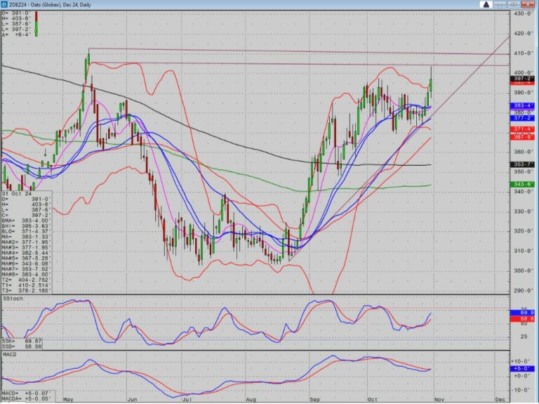 Oat Futures Chart 10.31.24