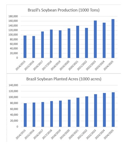 Brazil Soybeans chart 12.16.24