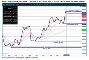 eSignal LC open interest chart 1.13.25