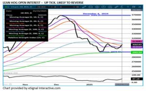eSignal LH Open Interest chart 1.31.25