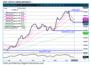 eSignal LC open interest chart on 2.21.25