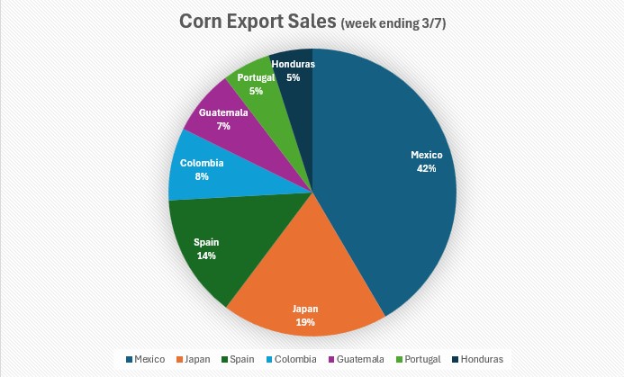Corn Export Sales chart