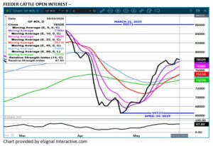 eSignal Feeder Cattle OI chart on 5.23.25